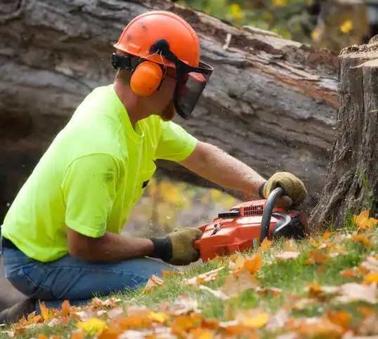 tree services Hodgenville